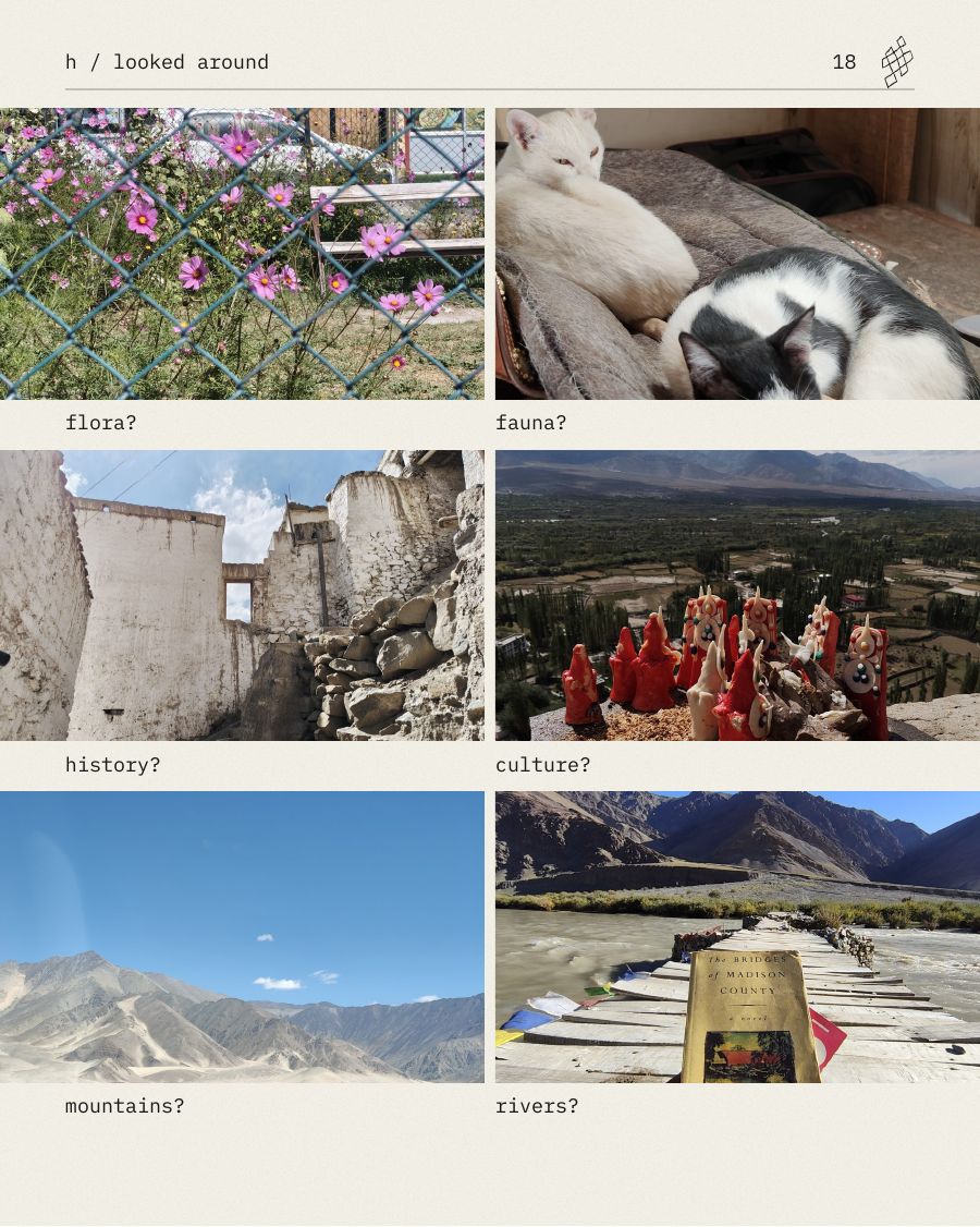 things i did in ladakh, slide 18