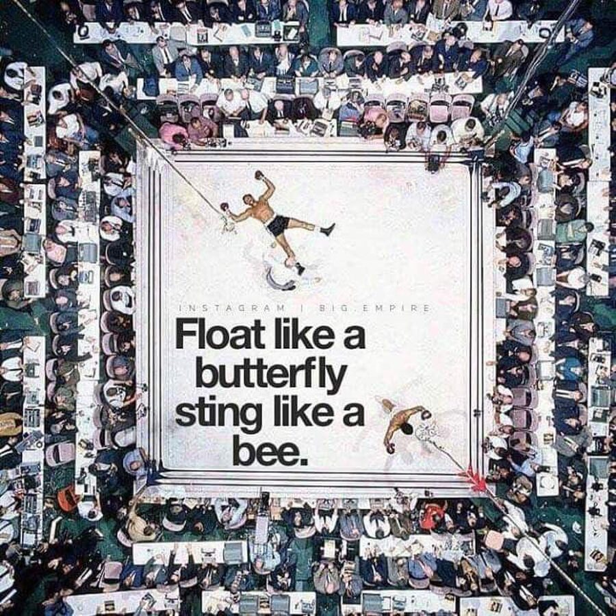 Float like a butterfly